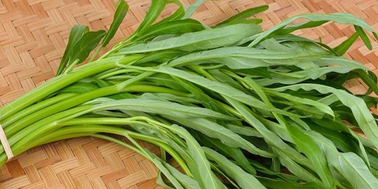 Rau muống được sử dụng phổ biến trong mâm cơm của người Việt Nam