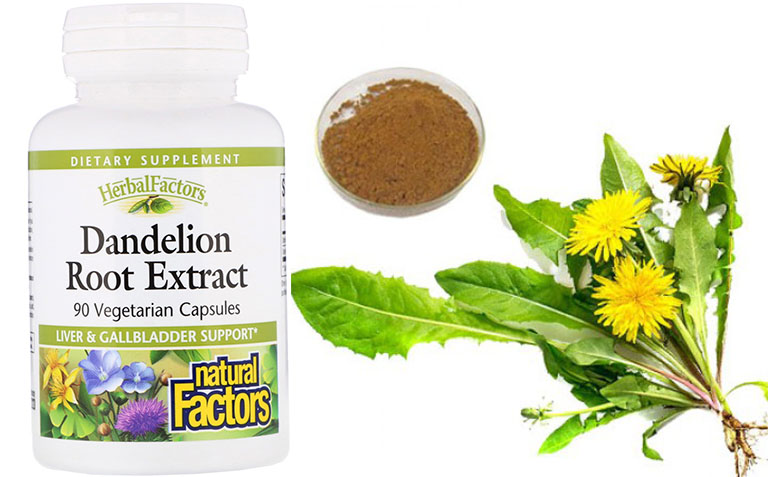 Thuốc trị sỏi mật của Mỹ Dandelion Root Extract