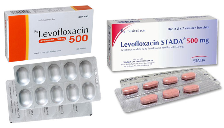 Levofloxacin là thuốc điều trị viêm tiền liệt tuyến thuộc nhóm quinolon
