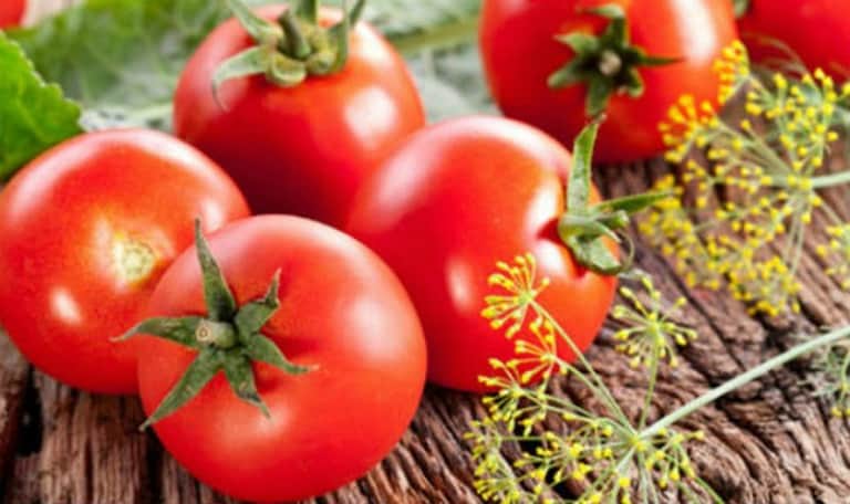 Viêm tuyến tiền liệt nên ăn cà chua