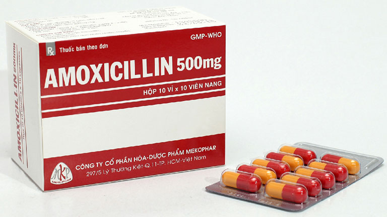 Amoxicillin là thuốc kháng sinh được sử dụng phổ biến