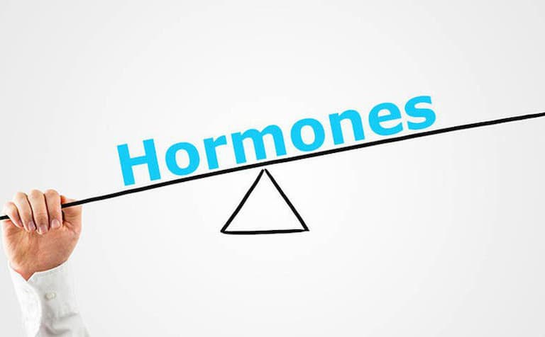 Sự thay đổi hormone relaxin có thể gây ra tình trạng đau nhức háng sau sinh