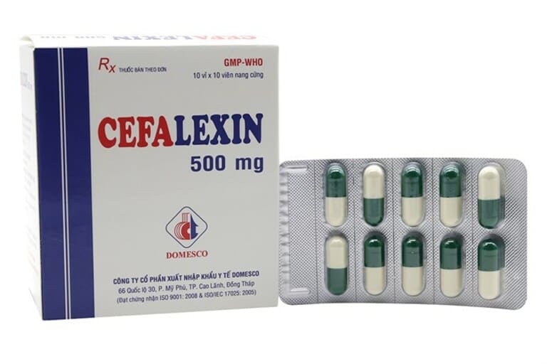 Cephalexin thuốc chữa bệnh tiết niệu thuộc nhóm Cephalosporin