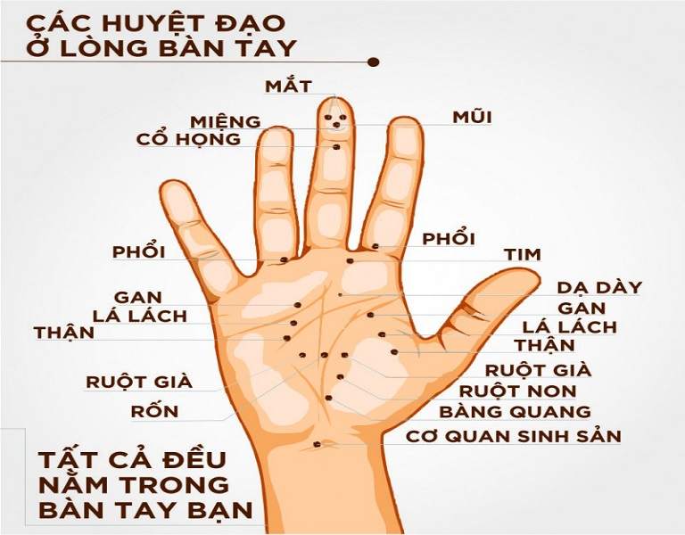 Phương pháp tác động lên gan bàn tay