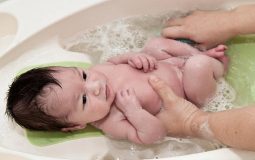Khi bé bị viêm da cơ địa nên tắm lá gì? Top 12 loại lá hiệu quả