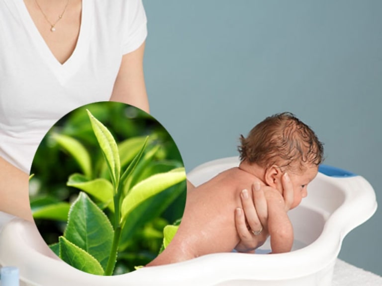 Lá chè xanh được sử dụng rất phổ biến để tắm cho bé giúp giảm viêm, thúc đẩy tái tạo tổn thương da