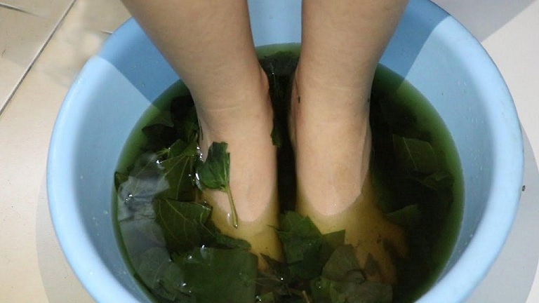 Ngâm chân trong nước lá trầu không giúp giảm ngứa