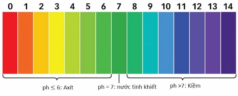 pH thường được đo bằng thang đánh giá từ 1 đến 14