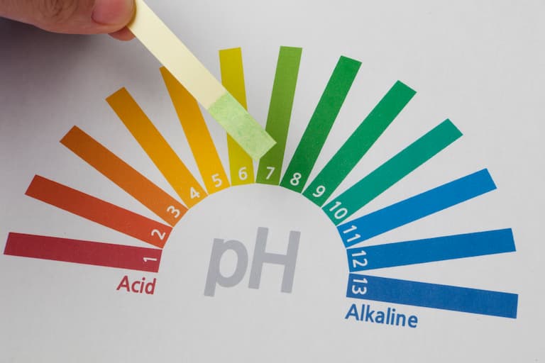 Kiểm tra độ pH của nước giếng khoan bằng giấy quỳ tím là biện pháp đơn giản, tiện lợi
