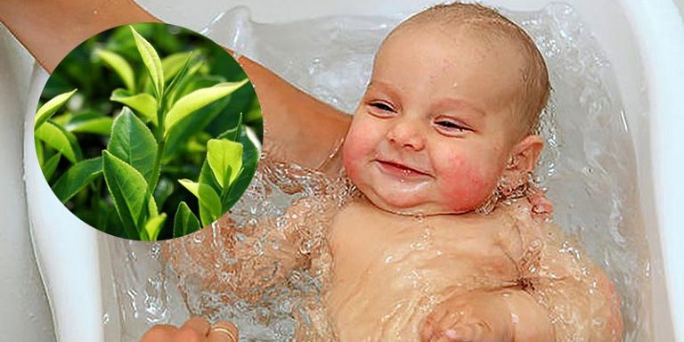 Bố mẹ có thể dùng lá trà xanh đun nước tắm để chữa mẩn ngứa ở trẻ