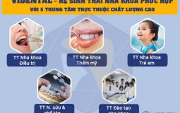 Trung tâm Nha khoa điều trị Vidental - Nơi mang đến giải pháp chăm sóc răng miệng hoàn hảo