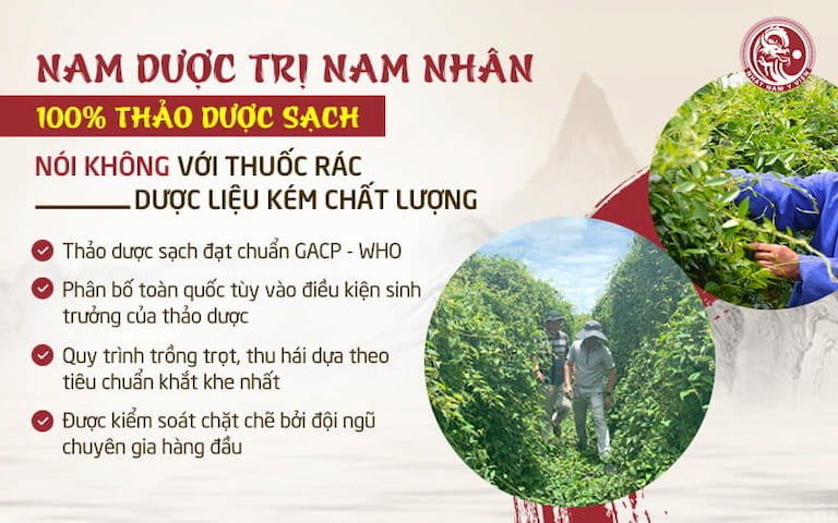 Chất lượng thảo dược hàng đầu tại Việt Nam