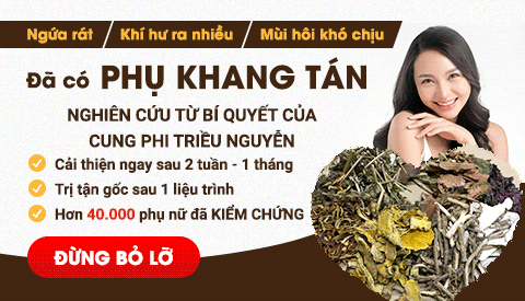 banner Phụ Khang Tán