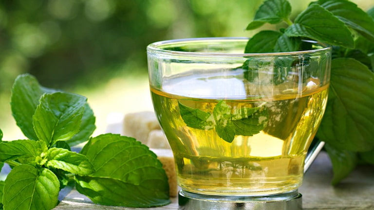 Cơn đau dạ dày được cải thiện đáng kể nhờ uống trà bạc hà