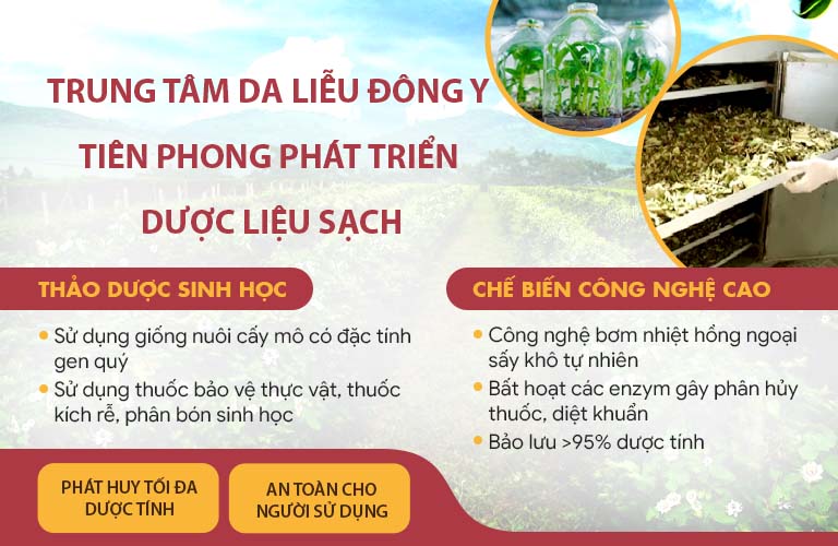 Trung tâm Đông y Việt Nam sở hữu vườn dược liệu sạch