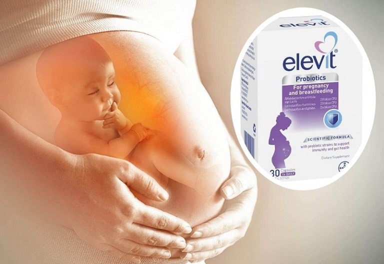 Elevit Probiotics hỗ trợ chức năng tiêu hóa cho phụ nữ mang thai